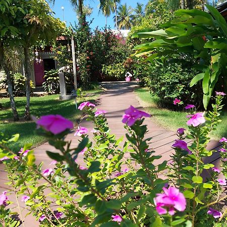 Hotel Casa Robinson Las Terrenas Exterior photo